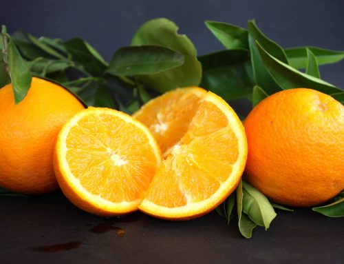 Por qué la naranja Navelate es la mejor del mundo